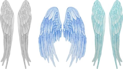 Watercolor Set Of Blueand Grey Angel Wings Realistic Wings Illustration