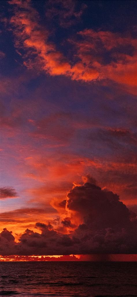 Sunset Wallpaper Iphone X 1125x2436 Wallpaper