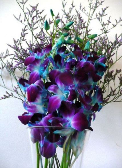 wedding flowers purple teal dendrobium orchids 31 ideas pretty flowers beautiful flowers