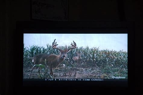 Outdoor Hunting Tv Shows Unrealistic