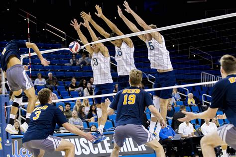 Revelle college, john muir college, thurgood marshall college, earl warren college, eleanor roosevelt college, and sixth college. MVB Aces UCSD In Straight Sets - UCLABruins.com | UCLA ...