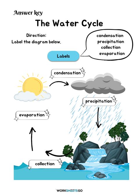 Water Cycle Worksheet 2nd Grade Worksheets For Kindergarten