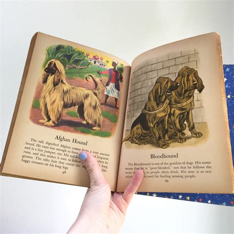 Vintage 1950s Book Dogs Vintage Childrens Dog Book Mid Century