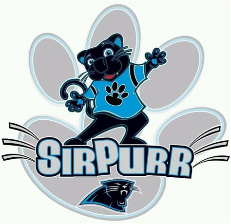 Mascot Carolina Panthers Carolina Panthers Football Panthers
