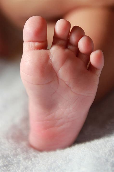 Baby Foot Newborn Infant · Free Photo On Pixabay