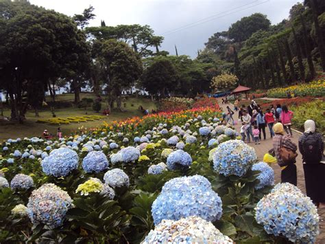 Tempat ini terletak di atas bukit, cukup jauh dari kuala lumpur, sekitar 1,5 jam perjalanan dengan menggunakan bus. Tempat Wisata Keluarga Terbaik Kota Malang - 1000 Fakta ...
