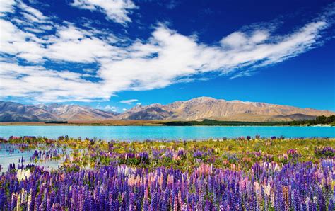 Ten Breathtaking Natural Wonders on New Zealand's South Island | Travel Blissful | Travel Tips ...