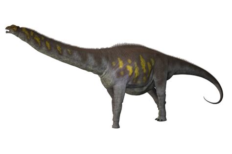 アルゼンチノサウルスargentinosaurus 恐竜図鑑