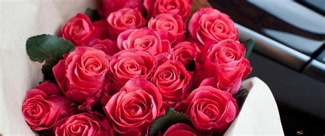 Hari Valentine Sejambak Bunga Ros Merah Yang Cantik Muat Turun Kertas