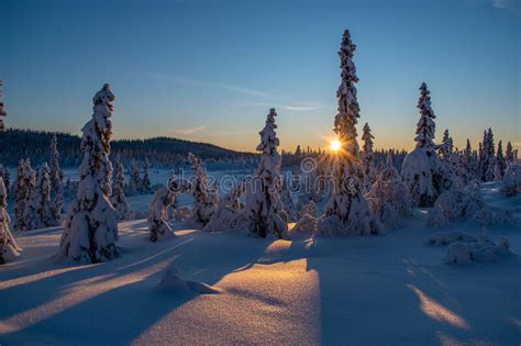 Magical Sunrise In Norway Beautiful Winter Landscape With Snow Covered