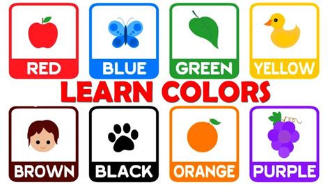 Colors For Kidslearn Colors For Childrenanimated Cartoon Colors For