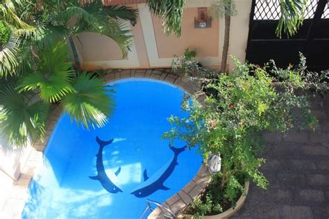 Please note at this time we are only able to bring tiny pools to the austin metro area. 10 Space-Saving Tiny Swimming Pool Designs