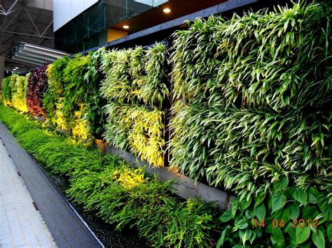 Greenwall Vertical Garden System For Commercial Residential And
