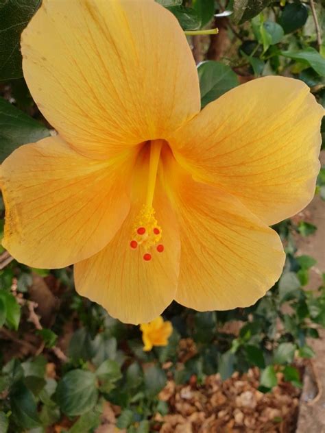 Our residential services include managing rodent, insect, bird, and wildlife populations in and around your home. Pin by Debbie Kay-McPherson on Cyprus holiday | Cyprus ...