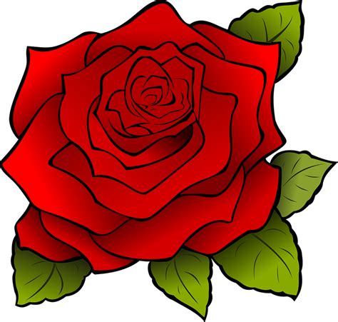 Flor Rojo Rose · Gráficos Vectoriales Gratis En Pixabay