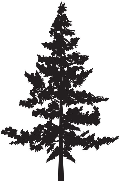 Hand drawn trees in black and white. Black And White Tree Silhouette Png & Free Black And White ...
