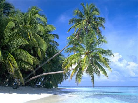 Images Caribbean Islands Wallpaper Wallpapersafari