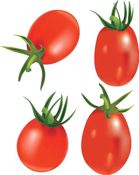 Plum Tomato Clip Art Vector Images And Illustrations Istock