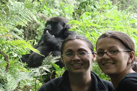 Quality Affordable 3 Days Rwanda Gorilla Safaris — Africa Safaris And Holiday