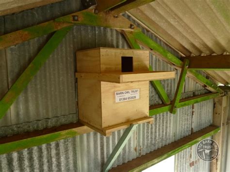 Generous drained floor of approx. Barn Owl nestbox for buildings - The Barn Owl Trust