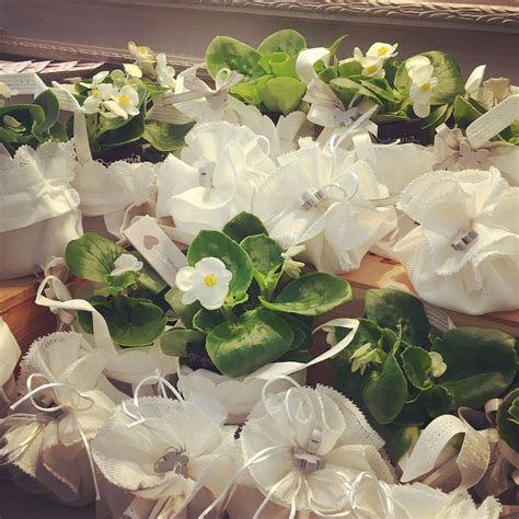 Conoscere tutti i nomi dei fiori da bulbo è indispensabile per poter scegliere quello adatto ad ogni giardino. Prima Comunione, tableau nome fiori e il suo significato ...