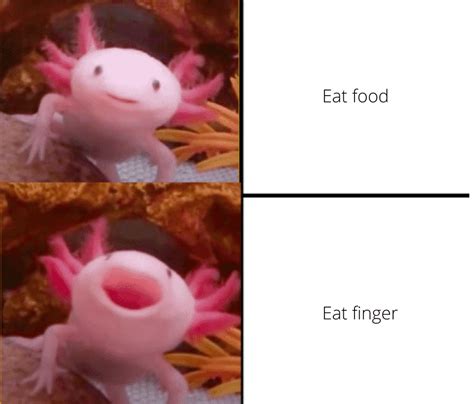 An Axolotl Meme Axolotls