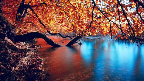 Autumn Lake Full Hd Desktop Wallpapers 1080p