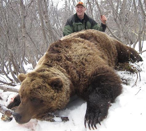 Giant Grizzly Hunted Down In Alaska Alaska Hunting