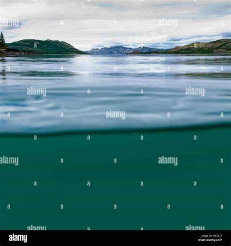 Lake Laberge Yukon Canada Over Under Split Shot Stock Photo Alamy