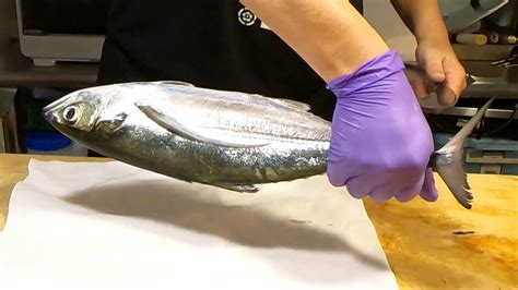 How To Fillet Megalaspis Cordyla Into Sashimi Youtube