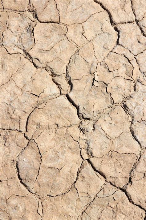 Dried Mud Texture Stock Photo Image Of Pattern Cracks 153989330