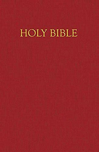 New Revised Standard Version Childrens Bible Nrsv Deluxe T Edition