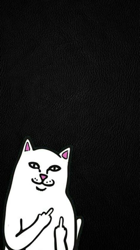 32 best Ripndip images on Pinterest | Iphone backgrounds, Backgrounds and Ripndip wallpaper
