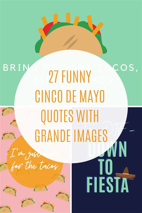 27 Funny Cinco De Mayo Quotes With Grande Images Darling Quote