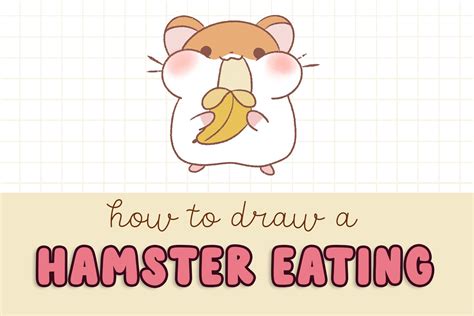 How To Draw A Hamster Eating A Banana Easy Beginner Guide