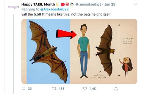 Photos Of ‘human Sized Bat From Philippines Blow Up The Internet Gulftoday