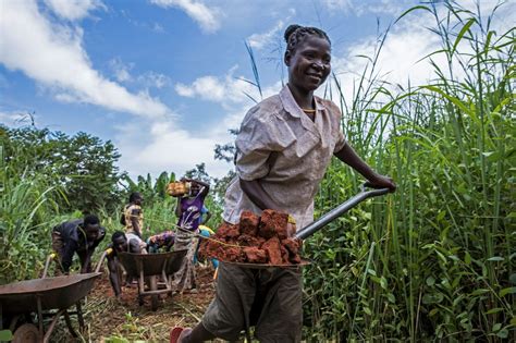 Food As A Tool Bringing South Sudan Back To Life By Musa Mahadi
