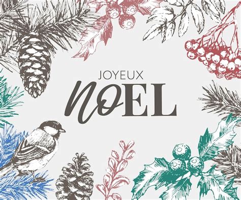 Premium Vector Merry Christmas In French Language Joyeux Noel Modern