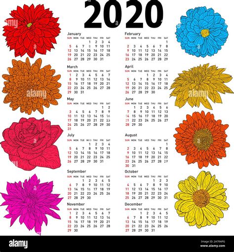 Stylish Calendar With Flowers For 2020 Week Sundays First Stock Vector