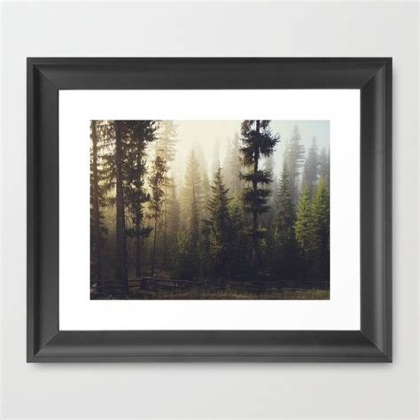 Sunrise Forest Framed Art Print By Kevin Russ Society6 Framed Art
