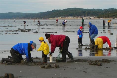 Marine Heatwaves Fuel Harmful Algal Blooms Off Us West Coast Nccos
