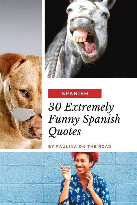 Are You Looking For Funny Spanish Phrases This Is The Ultimate List Of