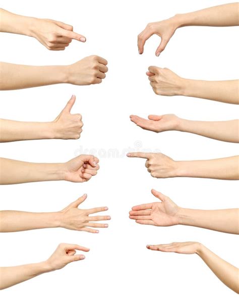 Female Hand Gestures And Signs Collection Isolated Stock Photo Image