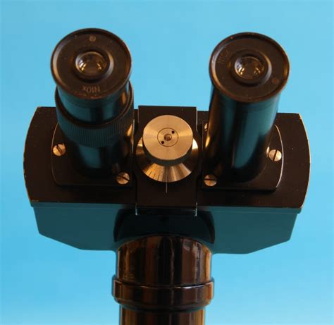 Compound Achromatic Microscope Type S Binocular Tube Stichting Voor