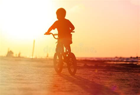 Little Boy Riding Bike At Sunset Stock Photo Image Of Person Leisure