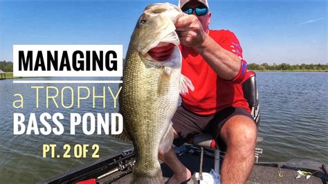 Managing A Trophy Bass Pond Pt 2 Of 2 Bassfishing Trophybass Youtube