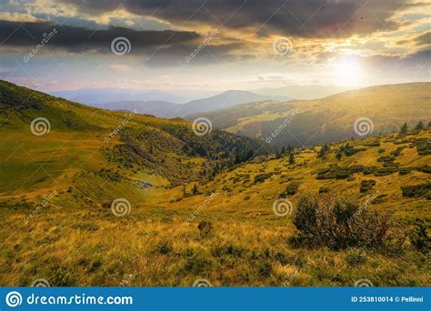 Carpathian Mountain Range In Summer At Sunset Stock Photo Image Of