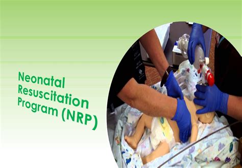 Nrp Neonatal Resuscitation