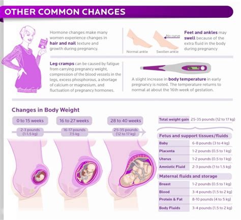 Bodily Changes You Can Expect During Pregnancy Fabmoms