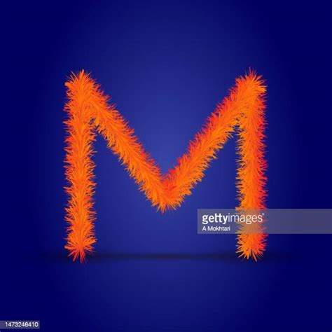 Beautiful Hairy M Photos And Premium High Res Pictures Getty Images